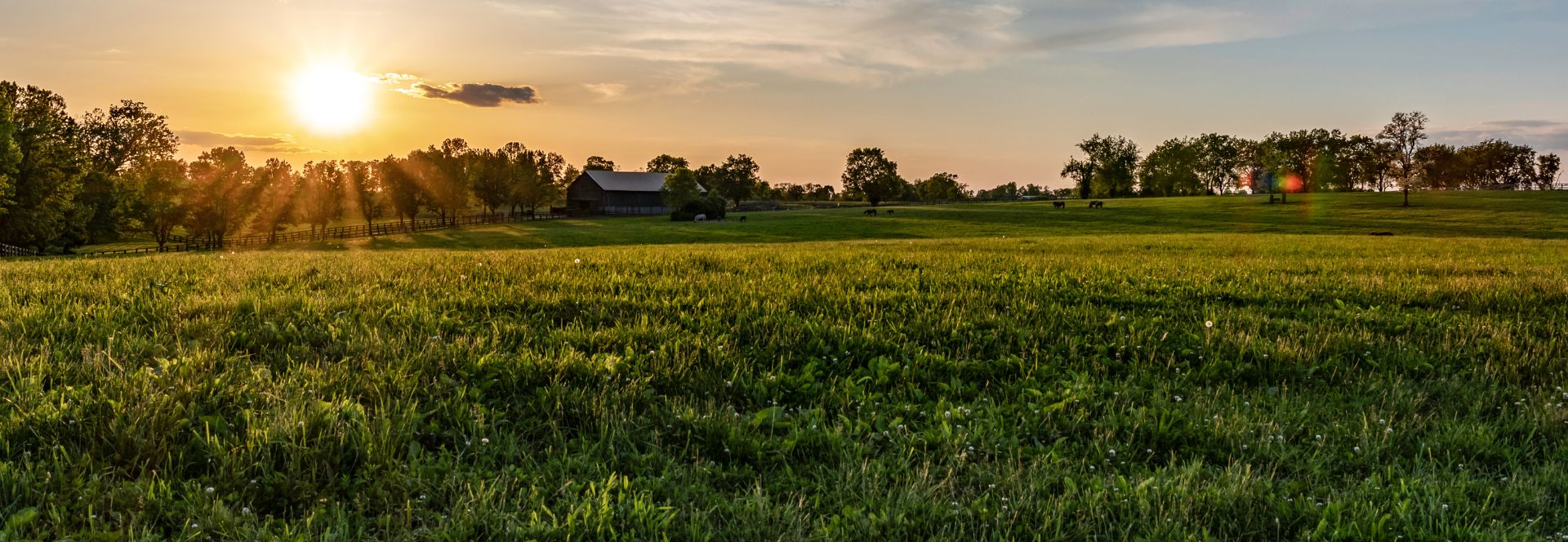 marion county farm image